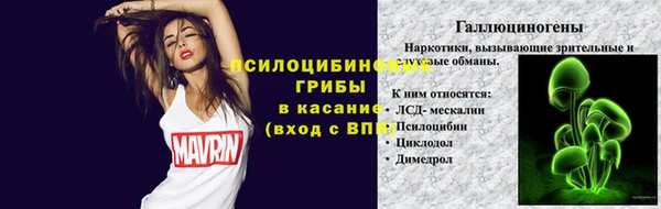 амф Вязники