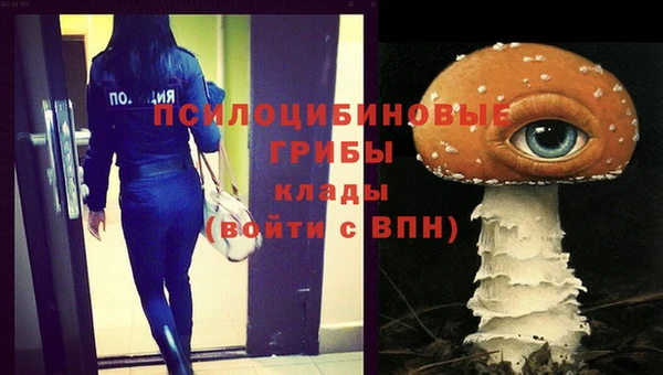 амф Вязники